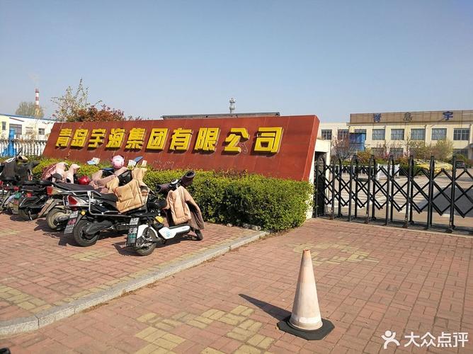 驾驶员培训 从方向盘到责任感的全面进阶
